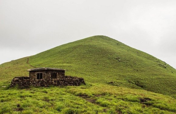കേരളത്തിലെ ഊട്ടി എന്നറിയപ്പെടുന്ന റാണിപുരം